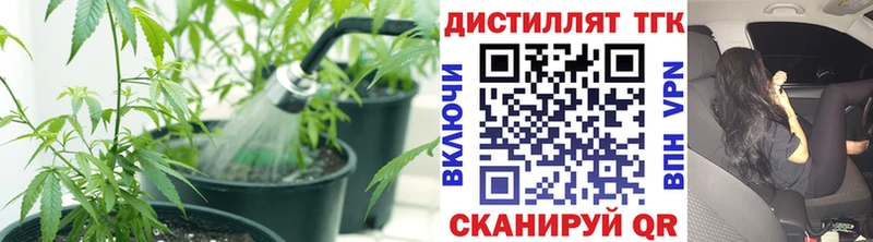 закладки  гидра как войти  ТГК гашишное масло  нарко площадка клад  Кимовск 