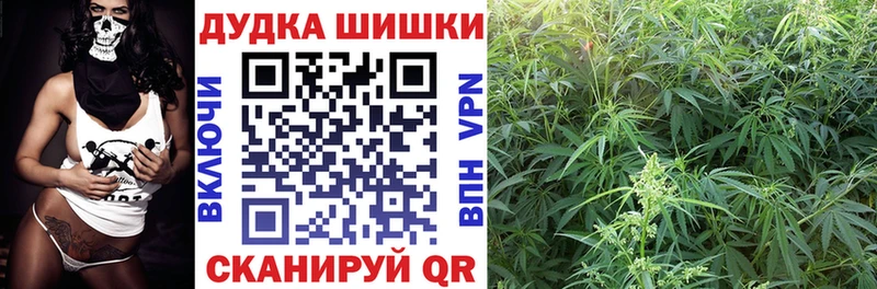 хочу наркоту  Кимовск  Канабис сатива 